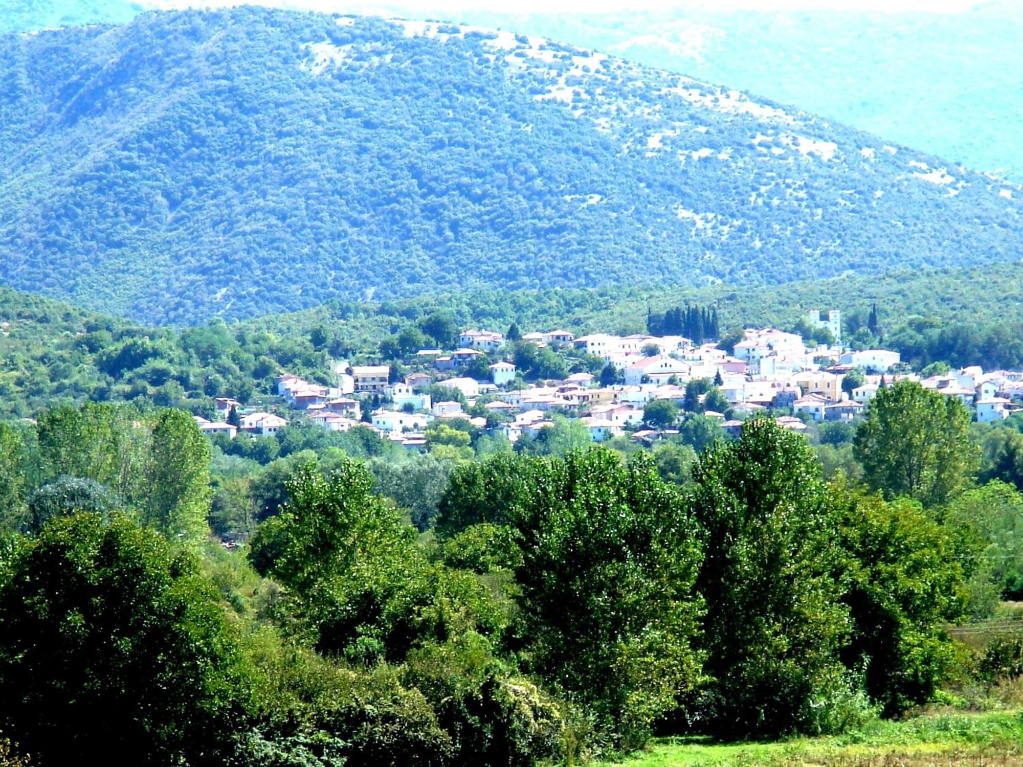 To Archontiko Guesthouse Villa Stavroupoli Exteriör bild